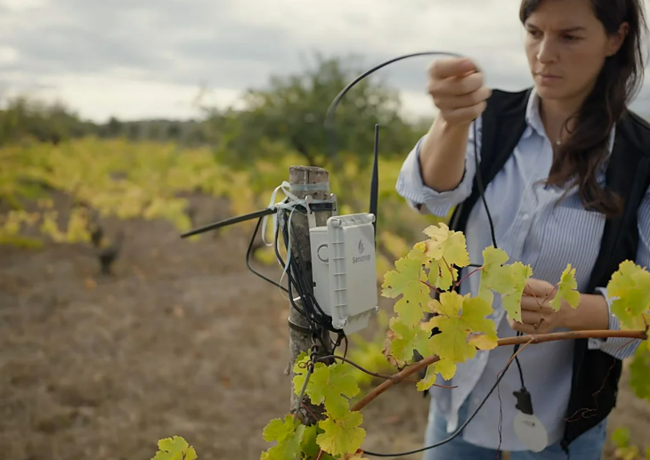La reinvención del sector agrícola se marchita en la falta de relevo generacional