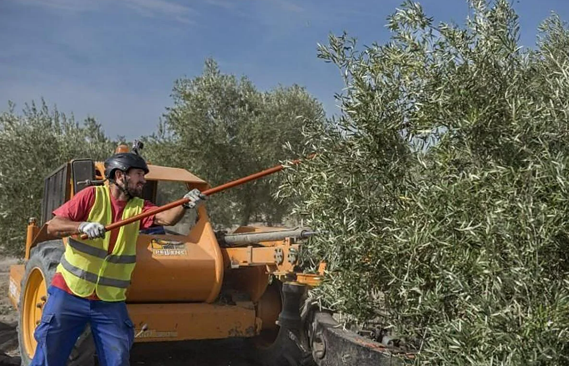 Córdoba suma 339 nuevos jóvenes al campo con ayudas de casi 18 millones